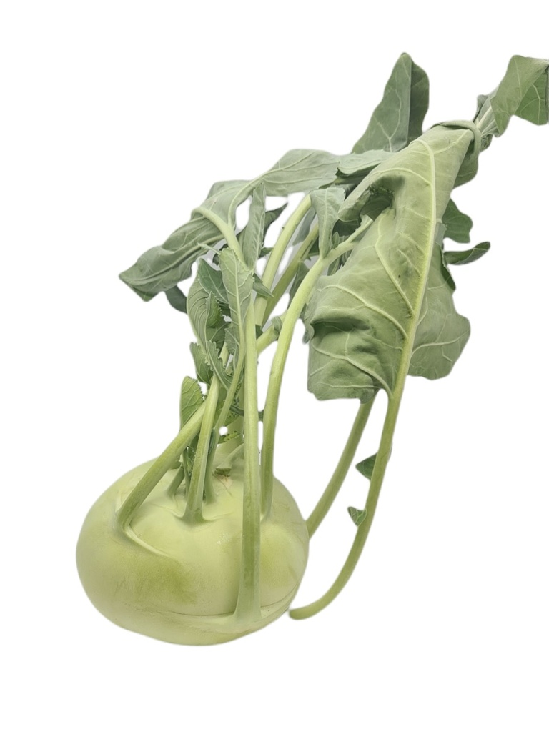 Kohlrabi Bio