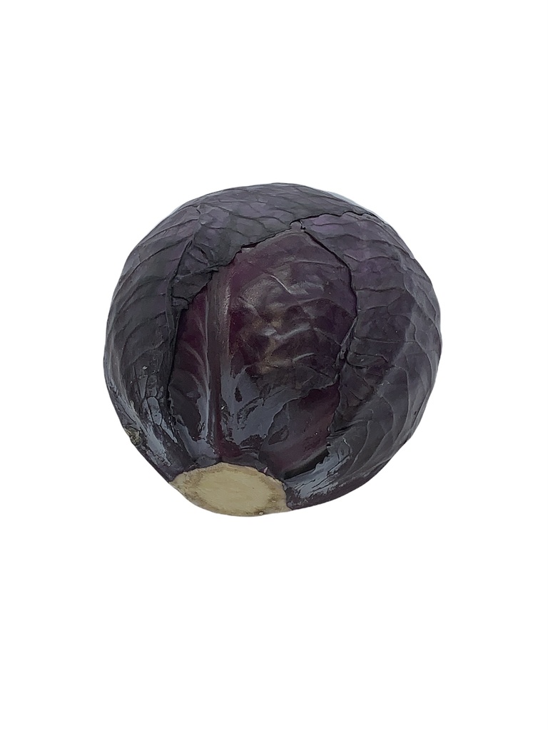 Rotkohl Bio Stck.