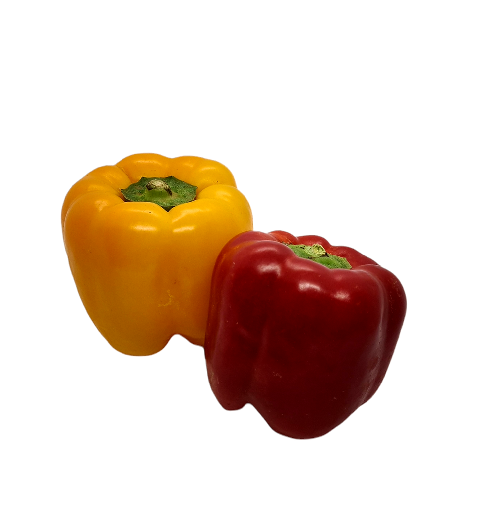 Paprika rot/gelb Bio