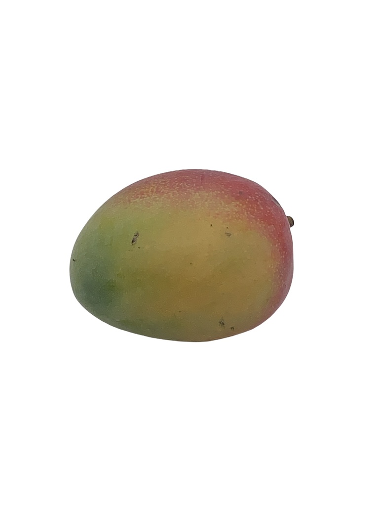 Mango Bio