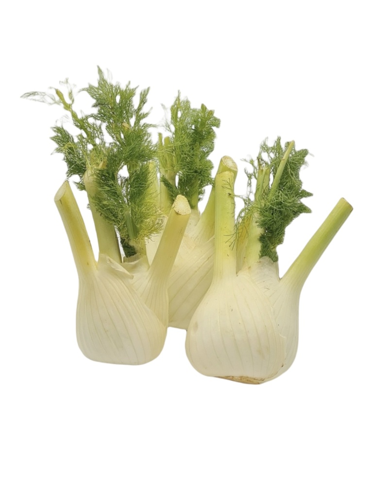 Fenchel Bio in kg