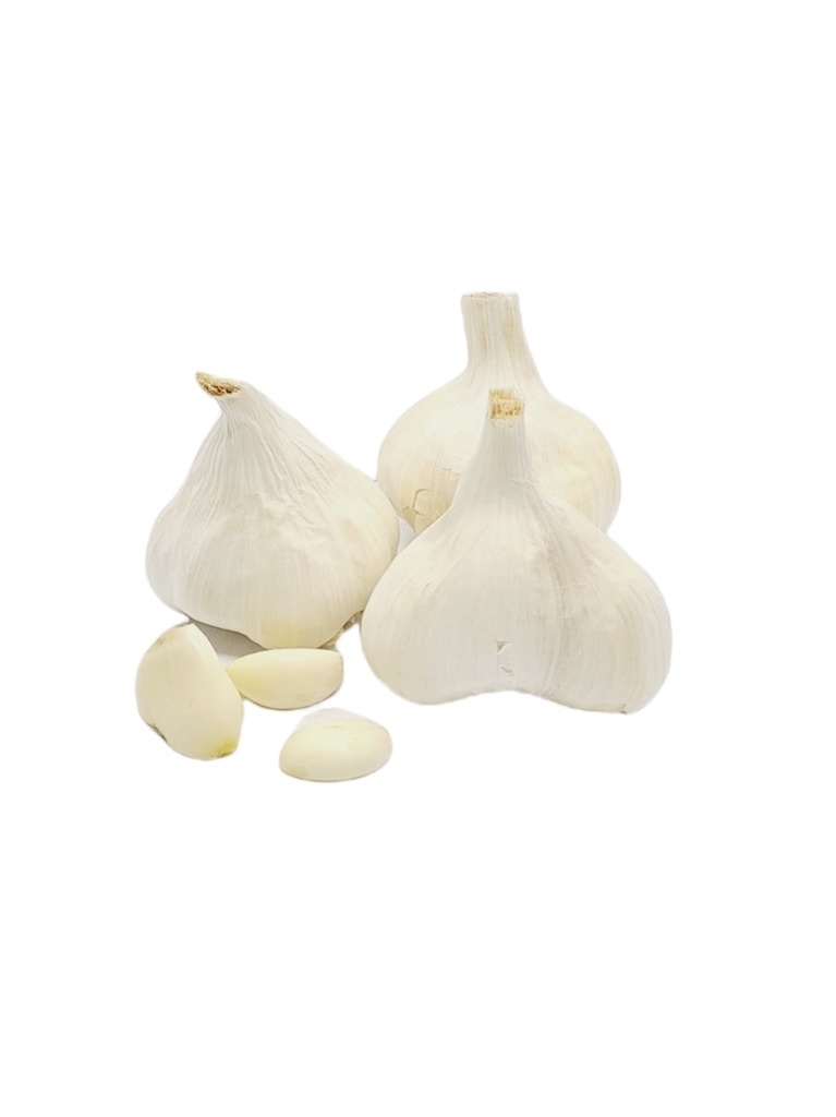 Knoblauch weiß Bio