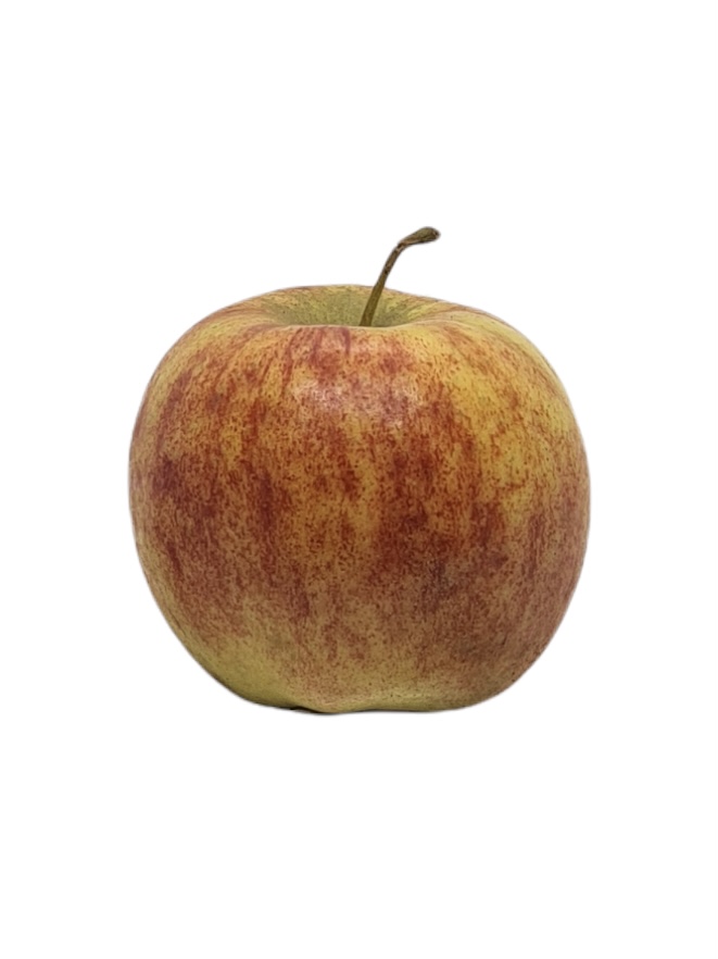 Apfel Jonagold Bio