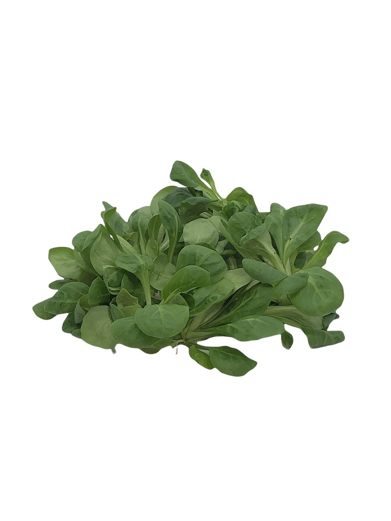 Feldsalat Bio 100g