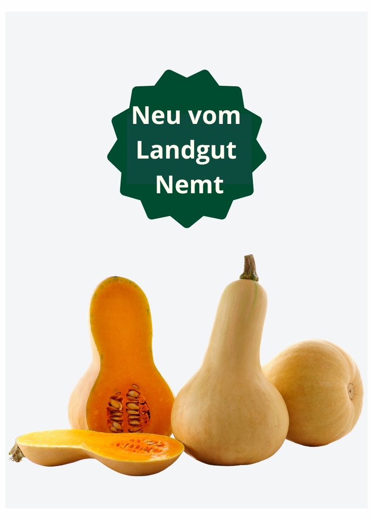 Nemter Bio-Butternutkürbis in Stk