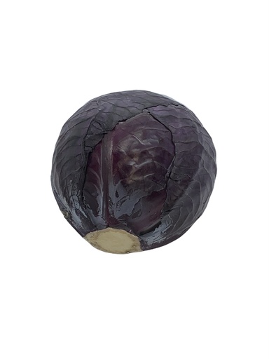 [302229] Rotkohl Bio Stck.