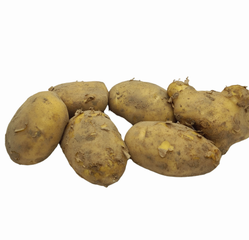 [302269] Kartoffeln Bio