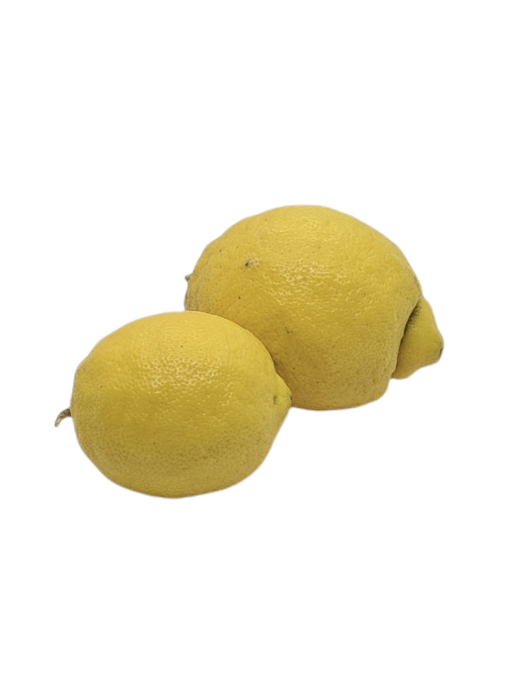 Landgut Zitronen Nemt kg Bio |
