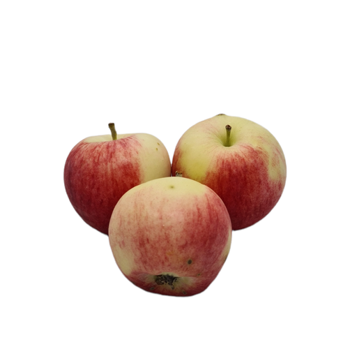 [302427] Apfel Piros Bio